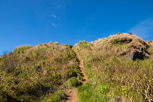 lépcső a dombon a kilátás nyílik a tájra - Fotó, kép