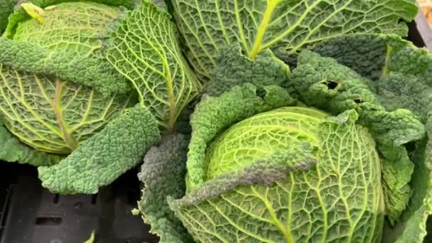 savoy cabbage fruit counter in the market healthy meal food diet snack on the table copy space food background rustic top view keto or paleo diet veggie vegan or vegetarian food - Footage, Video