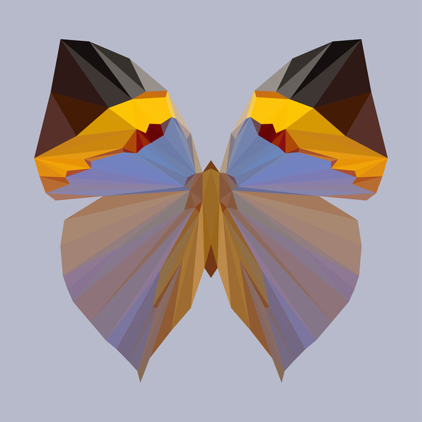 Wieloboczne motyl tło - Wektor, obraz