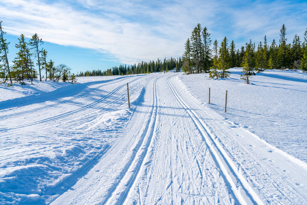 Winter landscape in snow covered Bymarka nature reserve in Trondheim, Norway - 写真・画像