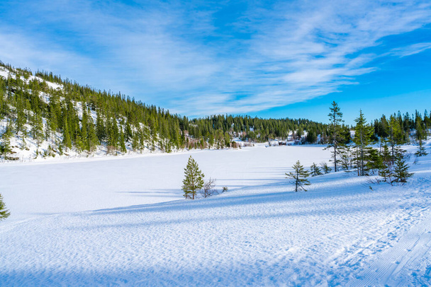 Winter landscape in snow covered Bymarka nature reserve in Trondheim, Norway - Φωτογραφία, εικόνα