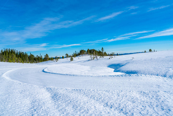 Winter landscape in snow covered Bymarka nature reserve in Trondheim, Norway - Fotó, kép
