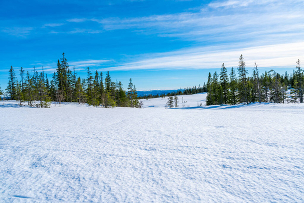 Paysage hivernal couvert de neige Réserve naturelle Bymarka à Trondheim, Norvège - Photo, image