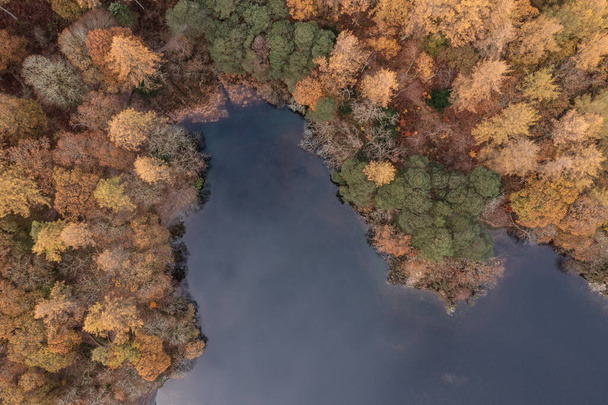 Beautiful aerial drone bird's eye view landscape image of Derwentwater in Lake District with vibrant Autumn colors - Foto, immagini