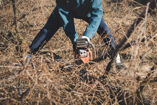 mladý 17letý dočasný pracovník v pracovním oděvu zápasí s motorovou pilou a suchým modřínem. Zpracování dřeva v divočině. Řezat padlý strom na kousky. Učení nové pracovní síly.  - Fotografie, Obrázek