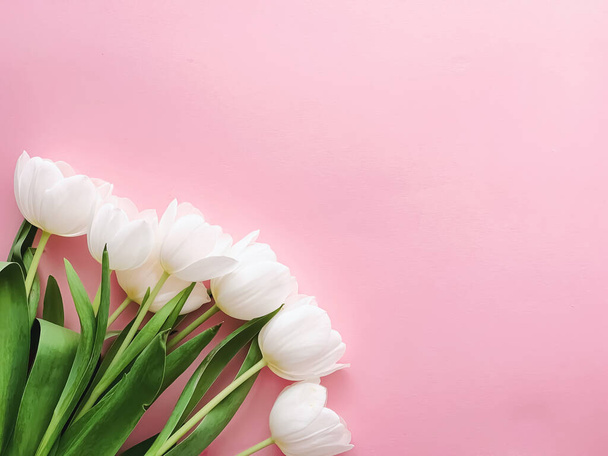 Fehér tulipán rózsaszín háttér, gyönyörű virágok lapos háttér, tavaszi koncepció - Fotó, kép