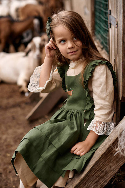 a portrait of cute child in beautiful green dresses walking on a farm  - Foto, Imagem