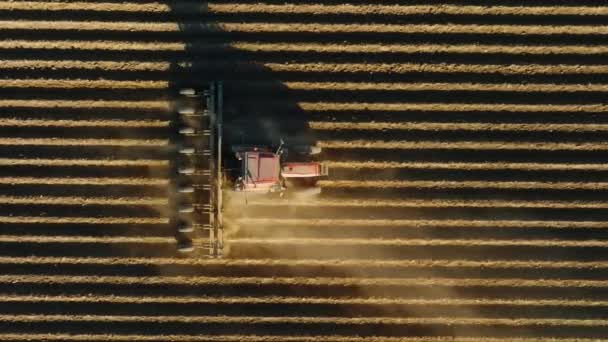 現場で働く農業機械の空中映像、トップビュー - 映像、動画