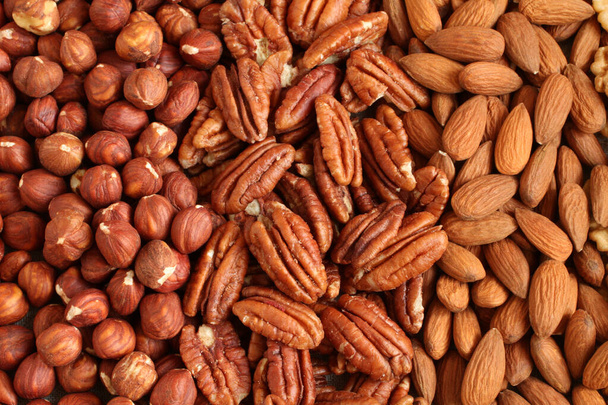Raw peeled hazelnuts, pecans, almonds on a linen cloth. Closeup. Macro. - Photo, Image