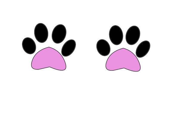 Cat's face and cat's paws isolated on a white background - Photo, Image