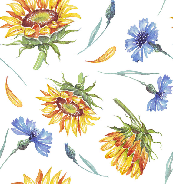 Sunflower and cornflowers. Watercolor pattern - Zdjęcie, obraz