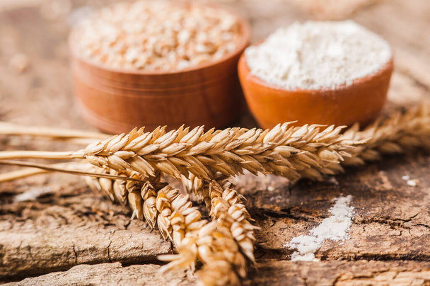 fresh wheat grains and flour.Slices of bread - Fotografie, Obrázek