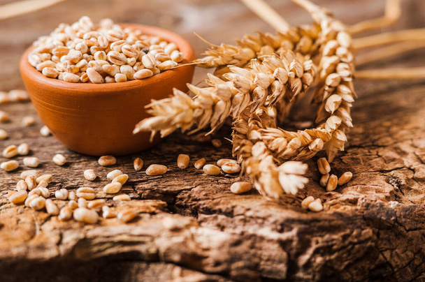 Photo of fresh wheat grains  - Fotografie, Obrázek