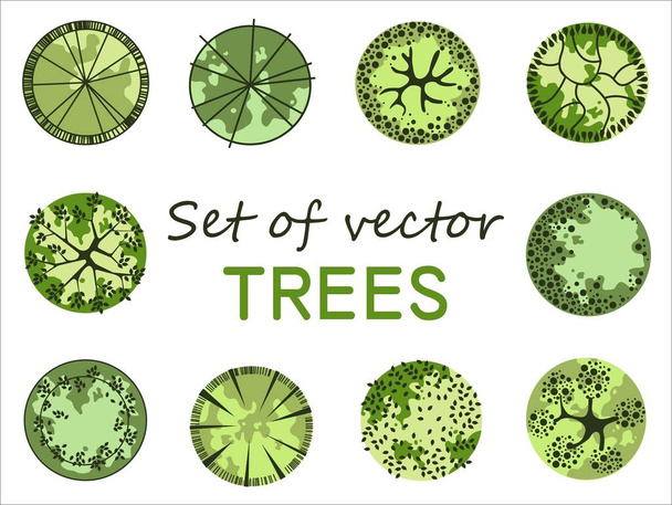 Trees for the master plan. Tree for architectural floor plans. Entourage design. Various trees, bushes, and shrubs, top view for the landscape design plan. Vector illustration. - Vecteur, image