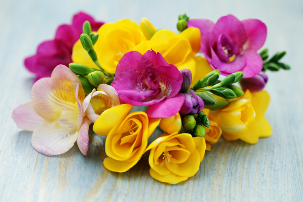 Freesia λουλούδια - Φωτογραφία, εικόνα