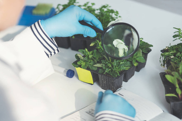 Tanımlanamayan bir kadın bilim adamının laboratuardaki bir büyüteçle bitki örneğini incelerken görüntüsü böyle.. - Fotoğraf, Görsel