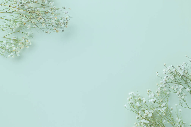 Fleurs de Gypsophila sur fond vert pastel, Minimalisme, Concept de fleur de printemps, Plat, vue sur le dessus, espace de copie - Photo, image