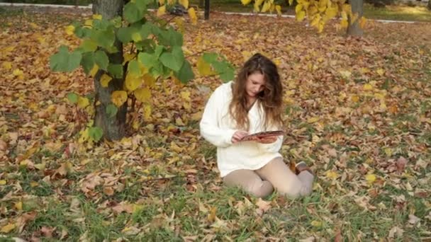 Lächelndes Mädchen mit Tablet auf der Herbstlandschaft - Filmmaterial, Video