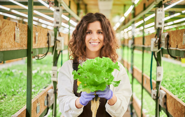 Cheerful young woman with lettuce standing in greenhouse. - Foto, afbeelding
