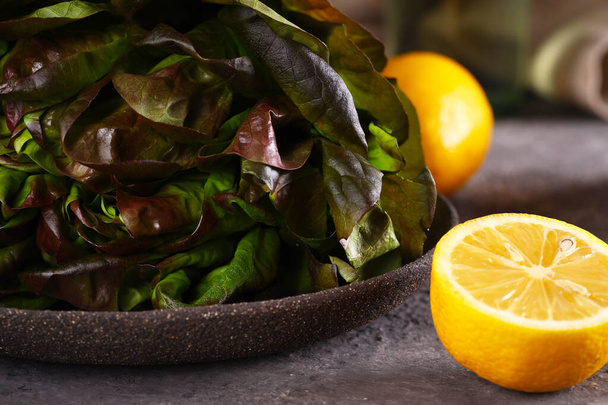 fresh organic lettuce salad on table healthy food - Photo, image