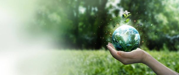Earth Day and Environment concept, Handen beschermen blauwe aarde en witte bloem met vliegende vlinder op groene ochtend achtergrond. Red schone planeet, red het milieu, ecologie en groene natuur.  - Foto, afbeelding
