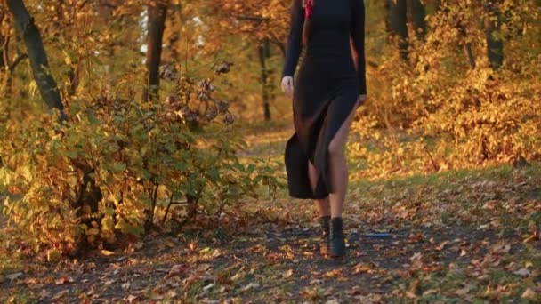 Een jonge vrouw met Santa Muerte make-up gekleed in een zwarte jurk des doods wandelt tegen de achtergrond van herfstbladeren in het bos bij zonsondergang. Dag van de Dood of Halloween concept. - Video
