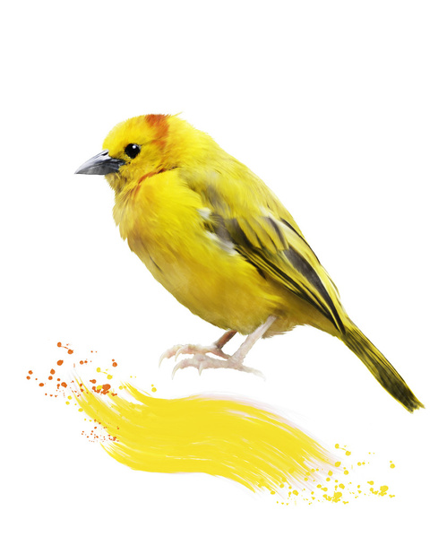 акварель зображення жовтий птах - Фото, зображення