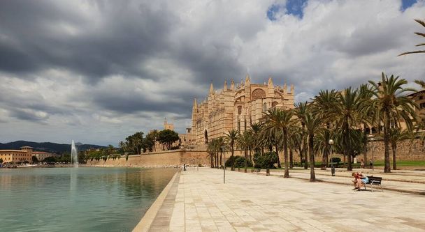 Prachtige parc de la mar met La Seu kathedraal op de achtergrond Palma, Mallorca, Balearen, Spanje - Foto, afbeelding