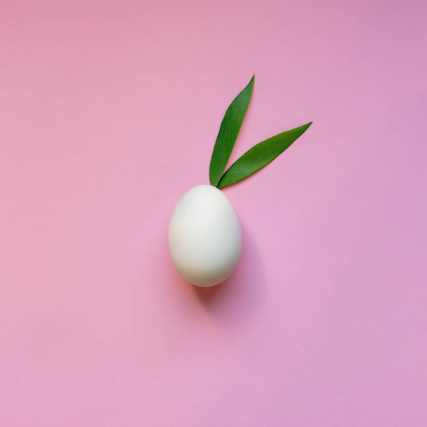 White egg with green bunny ears on pink background. Easter spring concept, square.  - Φωτογραφία, εικόνα