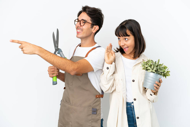Jonge gemengde ras tuiniers met een plant en snoeischaar geïsoleerd op witte achtergrond wijzend naar de zijkant om een product te presenteren - Foto, afbeelding