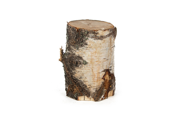 Image of birch stump - Photo, Image