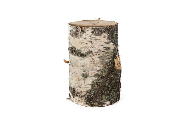 Isolated photo of wood stump - Photo, Image