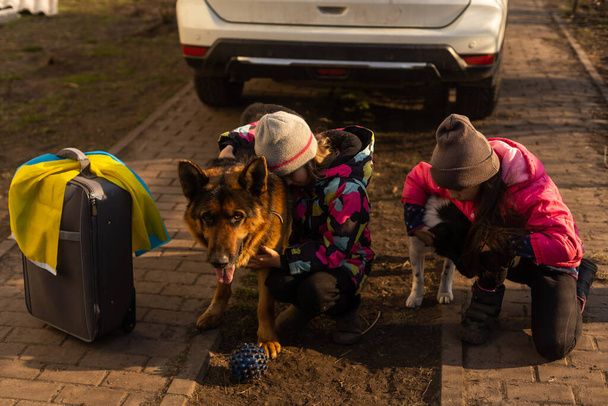 ウクライナの旗を持つ2人の少女スーツケース犬。ウクライナ戦争への移行。スーツケースの中のもののコレクション。ウクライナの国旗,助けて.クリジン軍事衝突. - 写真・画像
