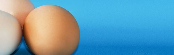 Easter eggs banner on blue background. Natural home product. Fresh eggs with shadows. Minimalism. - Photo, Image