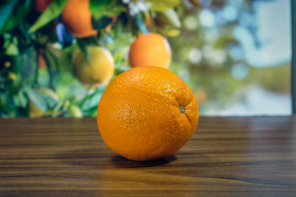 Orange on the table in the background of fruit on the tree - Photo, image