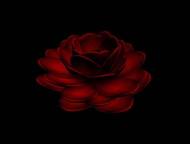 Close View of Red Rose 3D Image, Όμορφο Τριαντάφυλλο Εικονογράφηση 3D σε μαύρο φόντο - Φωτογραφία, εικόνα