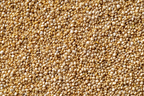 Raw quinoa grains macro background. Texture of white quinoa seeds close-up. Dry chenopodium quinoa for gluten free dieting and superfood concepts. Healthy vegetarian eating ingredient. Top view. - Zdjęcie, obraz