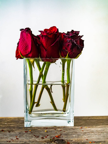 Bouquet of beautiful red roses  - 写真・画像