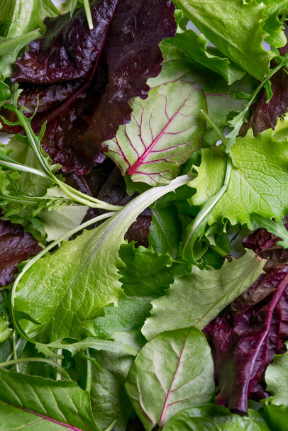 Taze salata yapraklarına, sağlıklı organik gıda malzemelerine yakından bakın. - Fotoğraf, Görsel