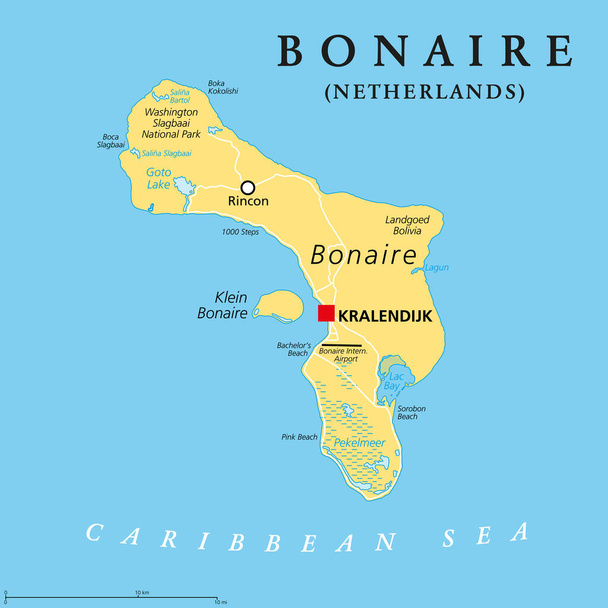 Bonaire, Hollanda, politik harita. Karayipler Denizi 'ndeki Leeward Antilleri' nde, başkenti Kralendijk olan bir ada. ABC Adaları 'nın bir kısmı, Venezuela kıyısı açıklarında, Kasırga Sokağı' nın dışında. Vektör - Vektör, Görsel