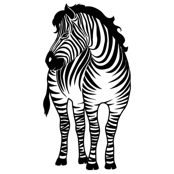 African zebra running side view outline striped silhouette animal design flat vector illustration isolated on white background - Vector, imagen