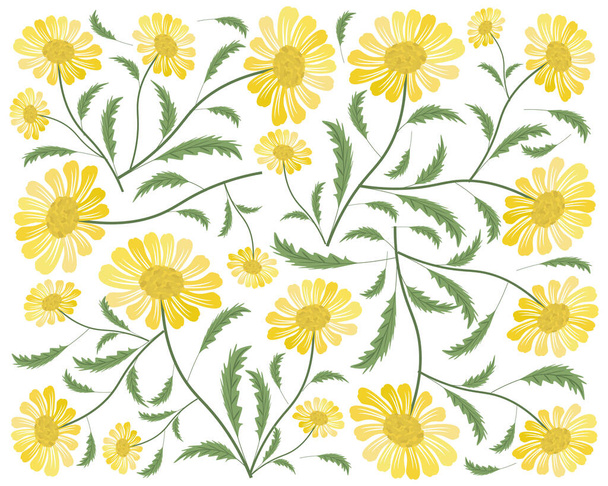 A szerelem szimbóluma, a világos és gyönyörű sárga Daisy vagy Gerbera virágok háttere - Vektor, kép