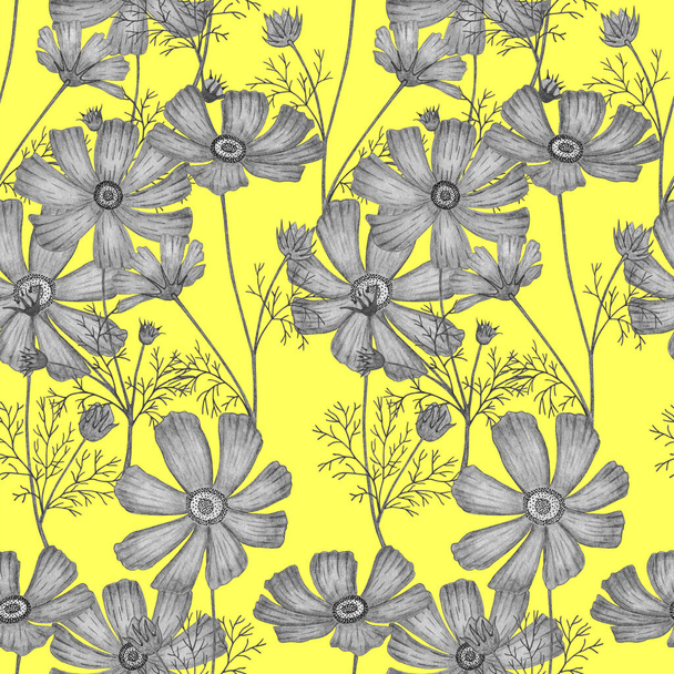 Seamless pattern of cosmea flowers. Watercolor illustration.  - Foto, afbeelding