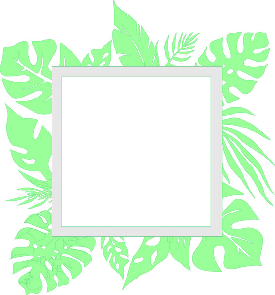 menthol frame made of tropical leaves and rectangle for writing text, postcard, cover - Vektor, kép