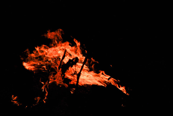 photograph of a campfire - Photo, Image