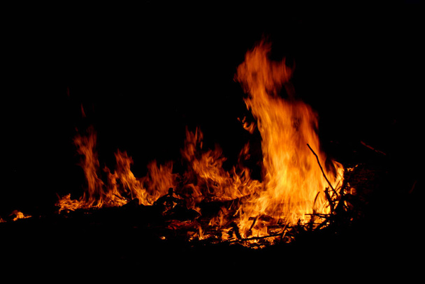 photograph of a campfire - Zdjęcie, obraz