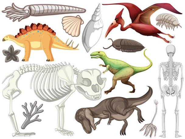 Σύνολο διαφορετικών προϊστορικών ζώων δεινοσαύρων εικονογράφηση - Διάνυσμα, εικόνα