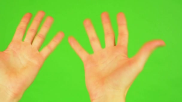 Man handen - groen scherm - Video