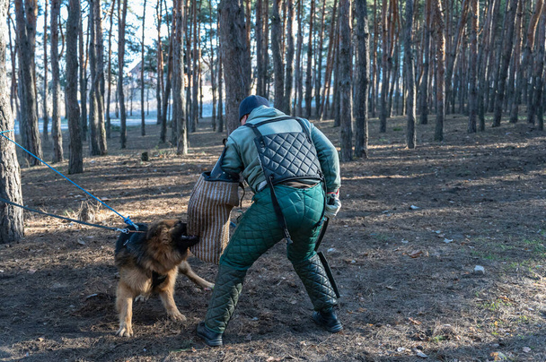 Un pastor alemán ataca a un hombre adulto. El perro muerde y sostiene una manga especial en su boca. Entrenador en ropa protectora. Formación de patrullas y convoyes. - Foto, Imagen