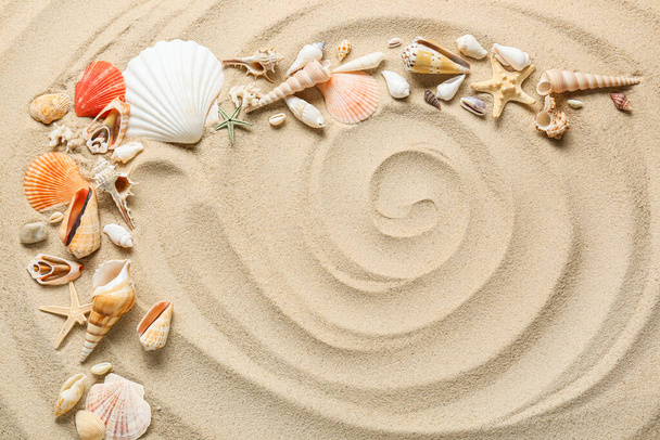 Many different sea shells on sea coast - Photo, Image